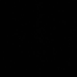 Meet your Posher, Ronnie